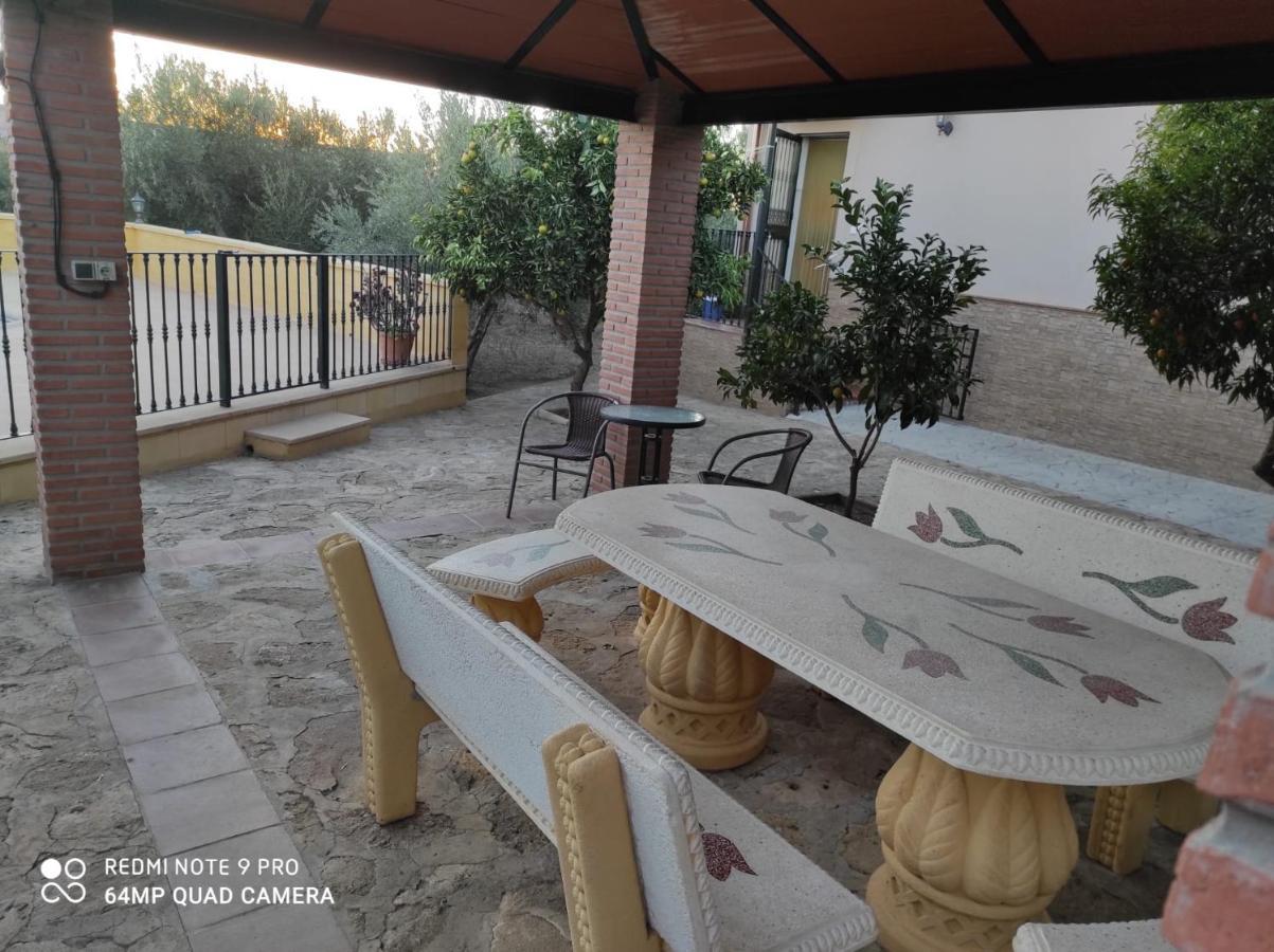 Abuelos Holiday home Setenil De Las Bodegas