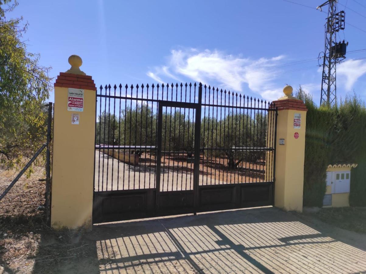 Abuelos Setenil De Las Bodegas