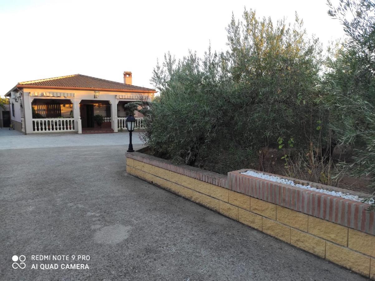 Abuelos Holiday home Setenil De Las Bodegas