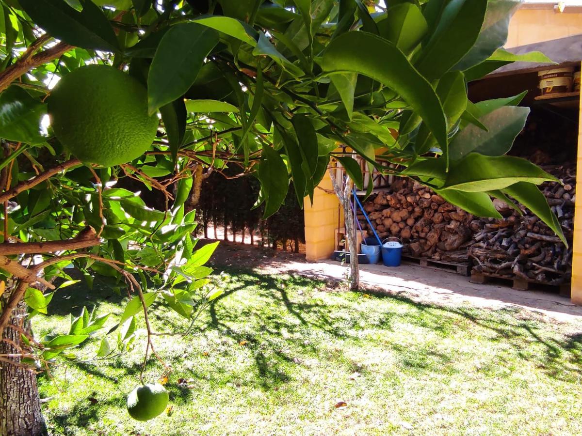 Abuelos Holiday home *