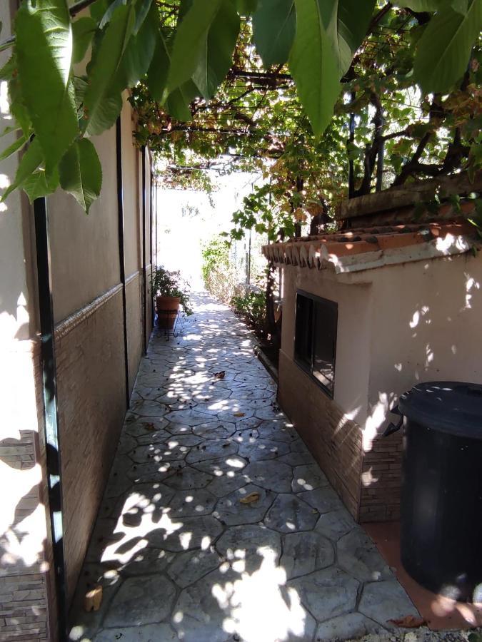 Abuelos Setenil De Las Bodegas