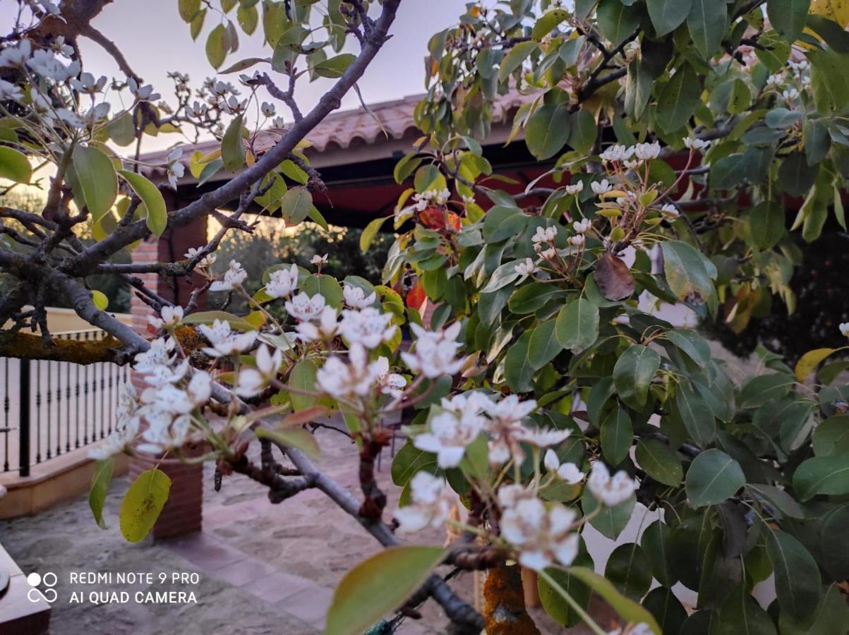 Abuelos Holiday home Setenil De Las Bodegas