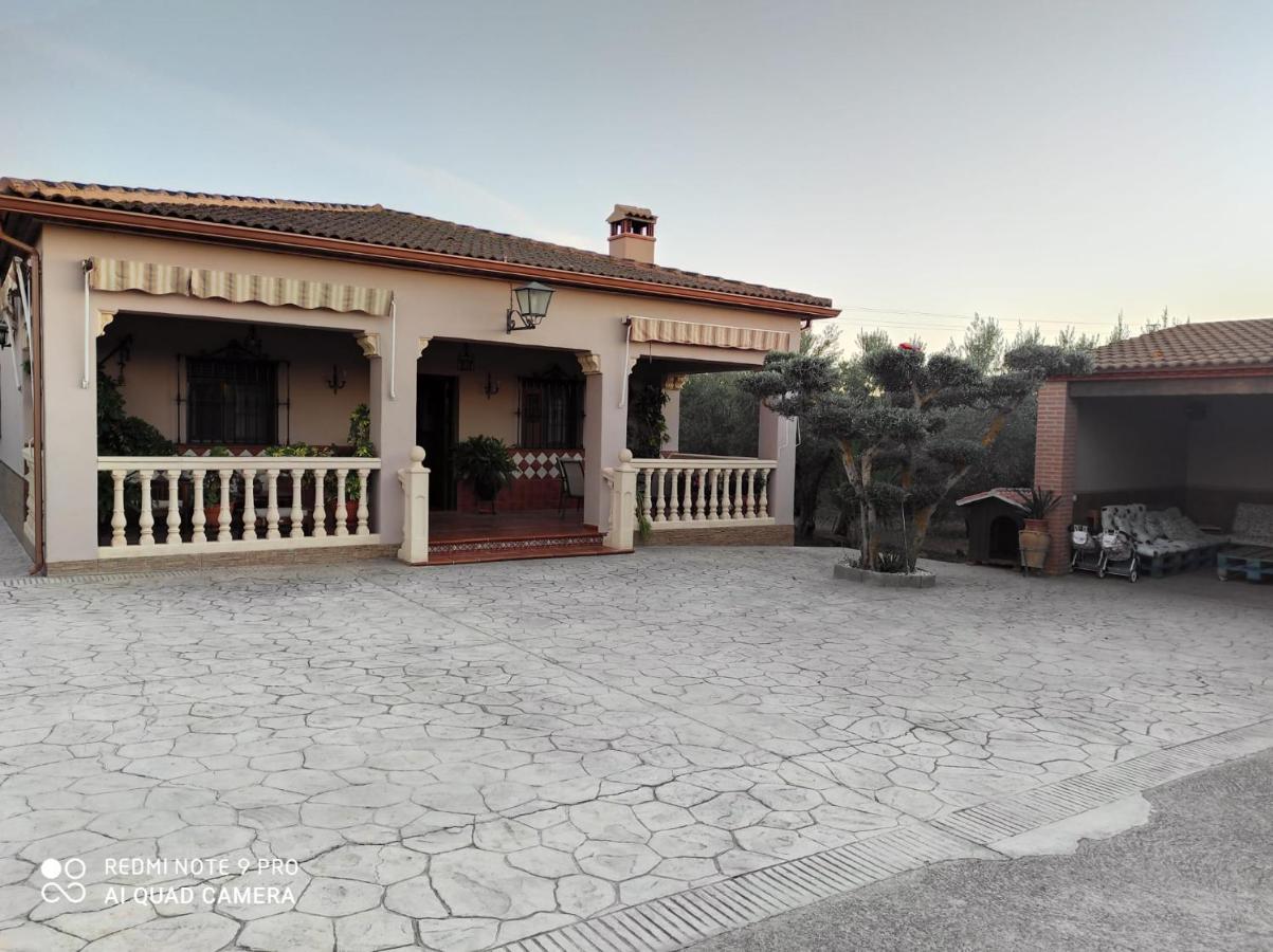 Abuelos Setenil De Las Bodegas