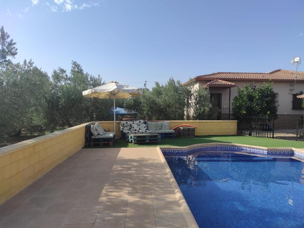 Abuelos Holiday home Setenil De Las Bodegas